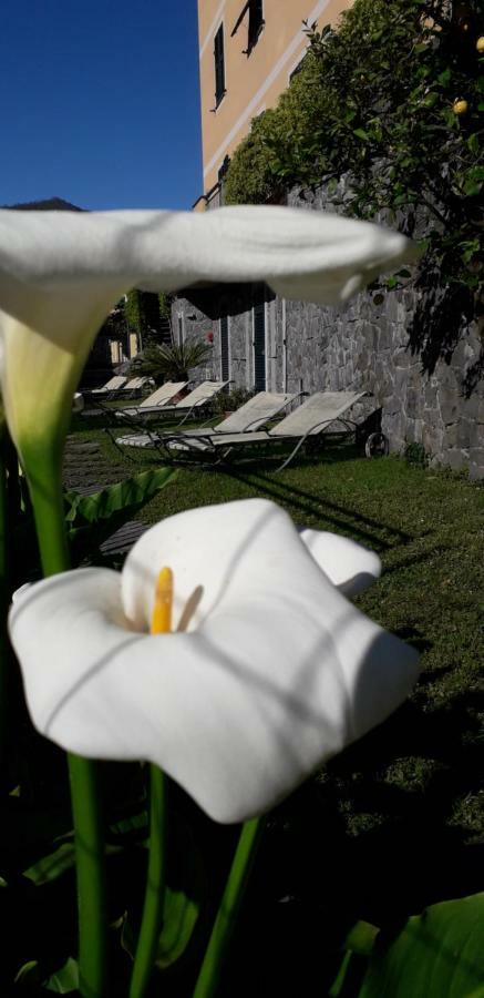 La Gerbera Hotell Levanto Eksteriør bilde